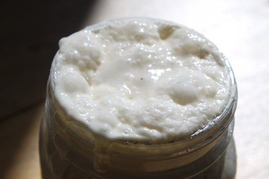 How to Feed Sourdough Starter