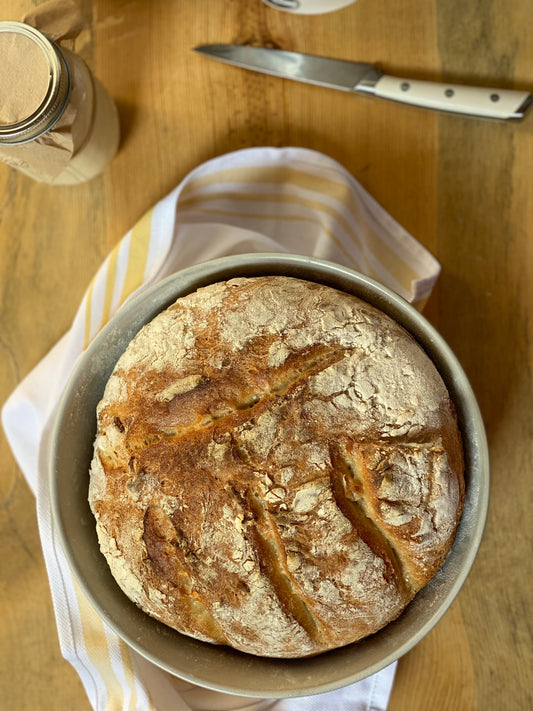 Sourdough Starter Guide: Activating the Living Magic of Fermented Bread