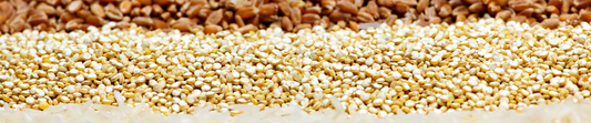 Heirloom Seeds: An Introduction