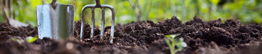 The Best Gardening Podcasts to Inspire Your Self-Sufficient Lifestyle